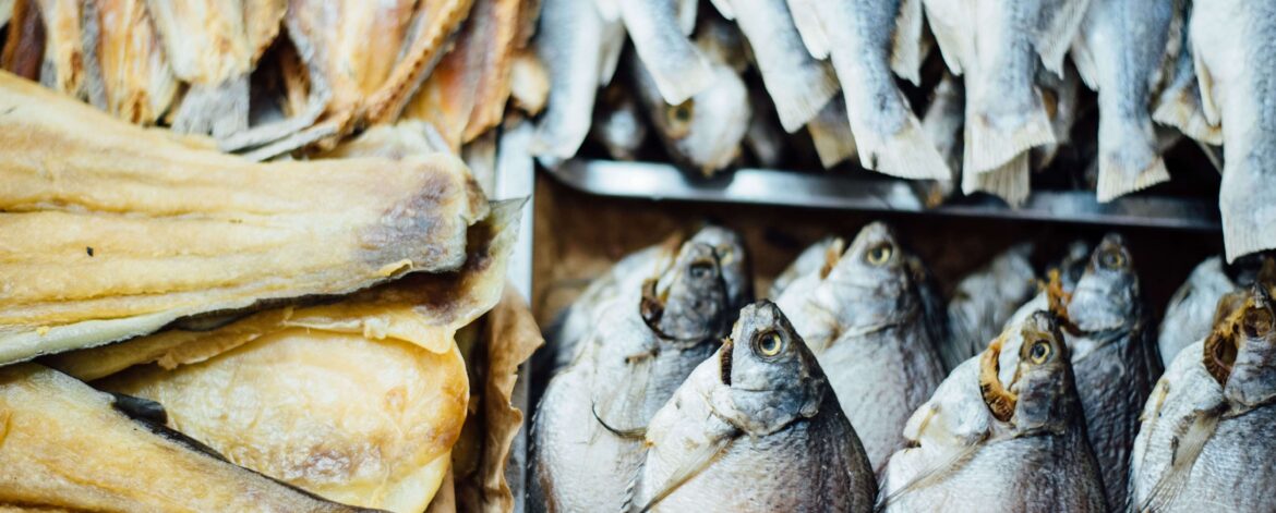 peixe-bacalhau peixe-bacalhau