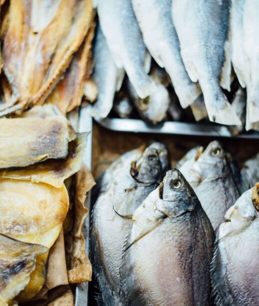 peixe-bacalhau